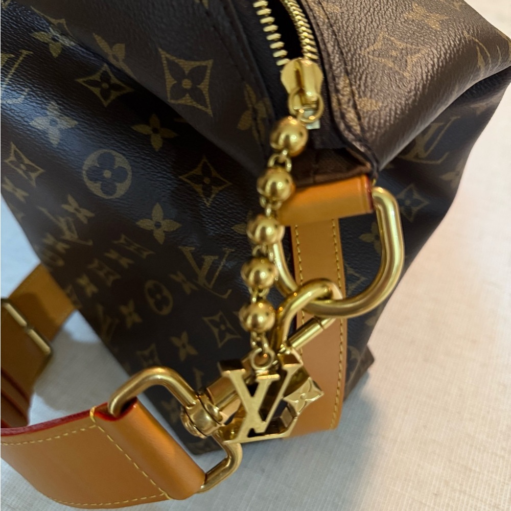 Louis Vuitton Vagabond Brown Hobo Monogram Bag - Picture 10 of 12